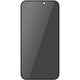 Folie Sticla ESD Privancy, Anti-Static, Full Cover, iPhone 17 Pro Max